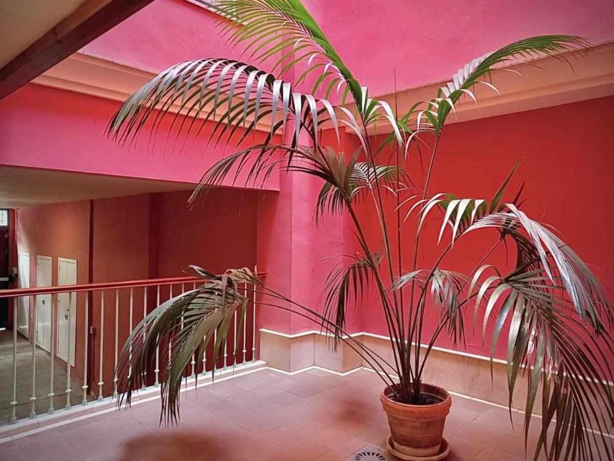Apartamento Sauceda 7 Севилья Экстерьер фото